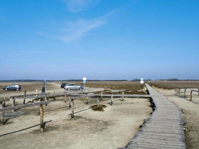 Apartment In St Peter-Ording In A Natural Environment 圣彼得奥尔丁 外观 照片